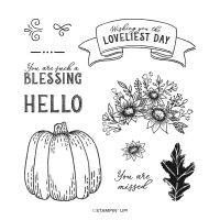 More Hello Harvest Cards