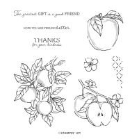 Apple Harvest Cling Stamp Set (English)