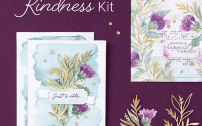 Stampin’ Up! New Kit Expressions of Kindness