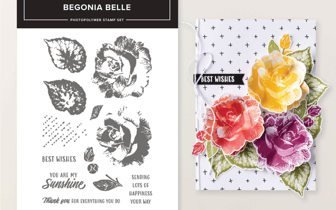 July Product of the Month Coming Tomorrow – Begonia Belle