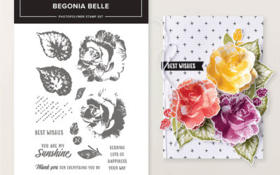 July Product of the Month Coming Tomorrow – Begonia Belle